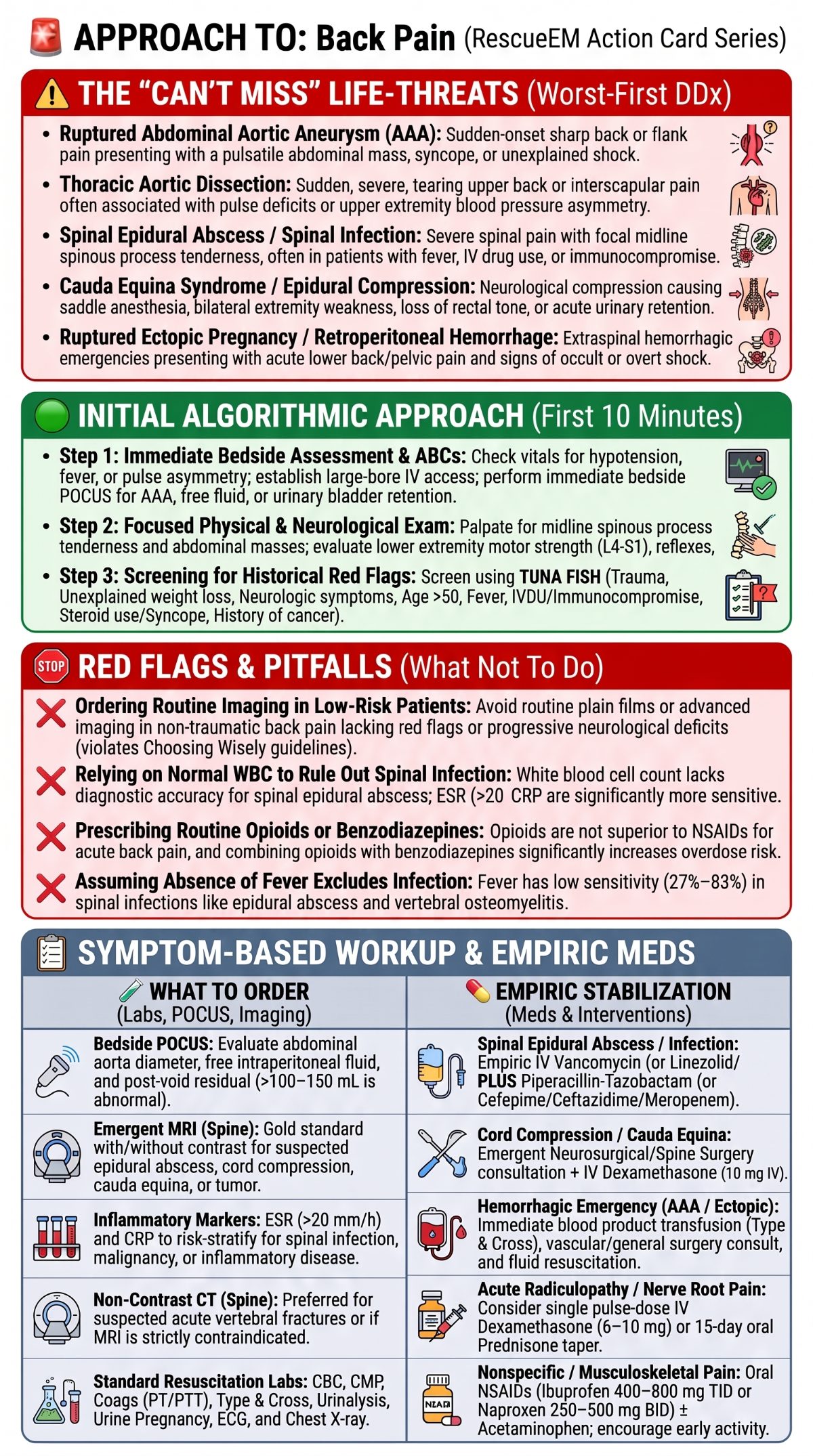 Approach to Back Pain Guide (1)