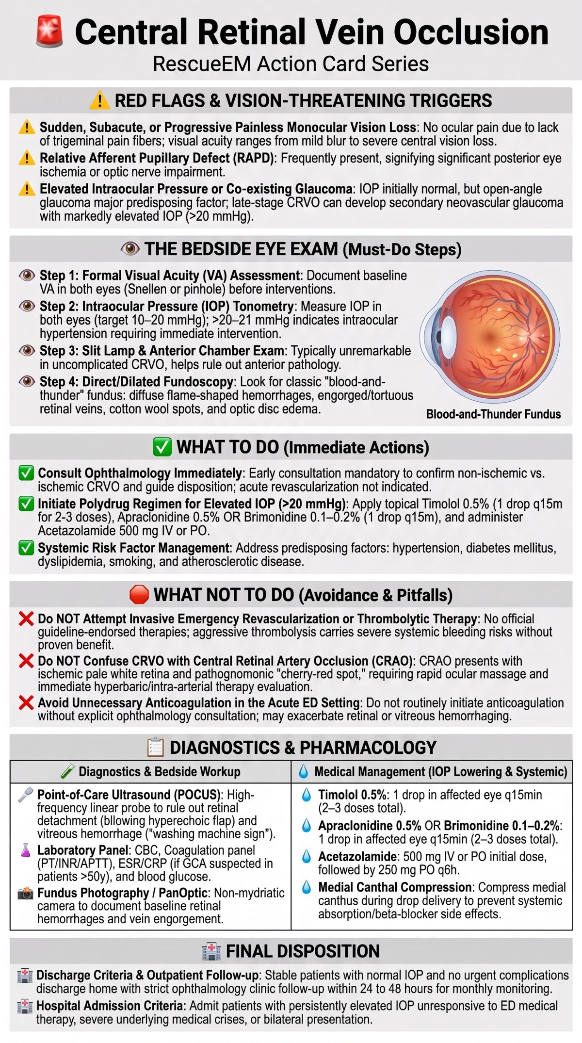 Central Retinal Vein Occlusion Guide