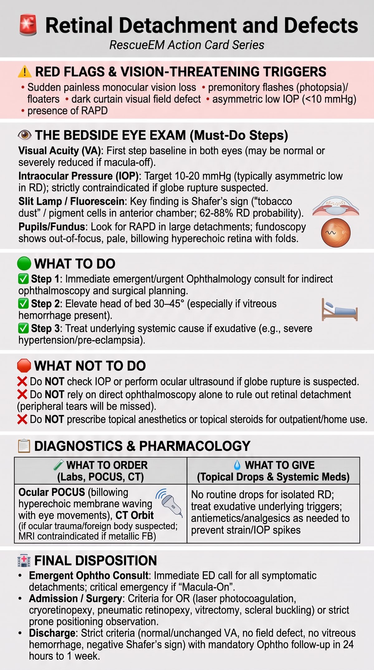 Retinal Detachment Emergency Action Guide